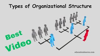 Types of Organizational Structure in management [upl. by Yecart]