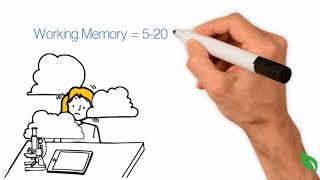 How Does Human Memory Work [upl. by Tully]