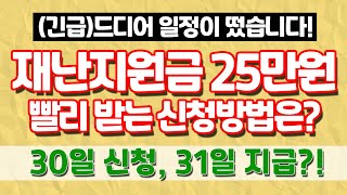 상생국민지원금 25만원 지급시기 사용처 등 9가지 [upl. by Wylen]