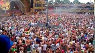 DVBBS at Tomorrowland 2014  Immortal [upl. by Figge762]