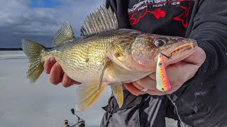 NonStop Daytime Walleyes  Howto Ice Fish Petenwell Lake in Wisconsin for Walleyes  S14 E9 [upl. by Eniger376]