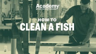 How To  Clean a Fish [upl. by Seline974]