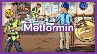 Metformin USMLE Mnemonic [upl. by Hodosh419]