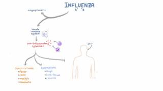 Influenza Infection  Clinical Symptoms and Presentation [upl. by Wescott]