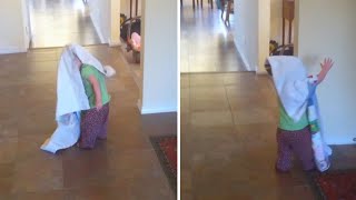 Hilarious Moment Little Girl Runs Into Wall [upl. by Noeht146]