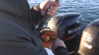 West Coast fishing with PEETZ 5quot Evolution reel and Hindsight fishing [upl. by Esilrahc]