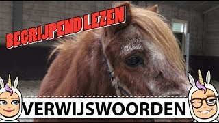 31 BEGRIJPEND LEZEN VERWIJSWOORDEN [upl. by Irelav919]