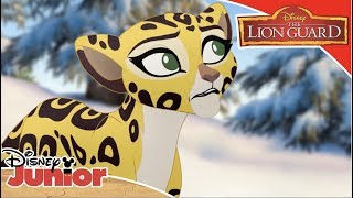 🐵 Anga Saves the Snow Monkeys  The Lion Guard  Disney Kids [upl. by Bradlee]