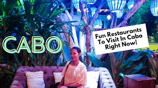 4 Fun Restaurants To Visit in Cabo  Cabo Foodie Travel Guide [upl. by Assylem]