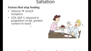 Regulation of Satiety and Satiation [upl. by Khalsa874]