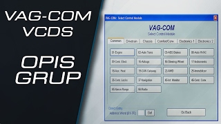 Opis grup parametrów w programach VCDS  VAGCOM [upl. by Holly-Anne88]