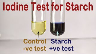 Iodine Test For Starch Practical Experiment [upl. by Trilbi22]