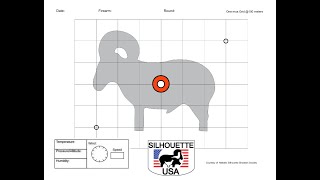 Metallic Silhouette Air Rifle for Silhouette  Offhand Training [upl. by Walsh]