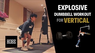 EXPLOSIVE Dumbbell Exercises to JUMP HIGHER  Vertical Jump [upl. by Hartfield233]