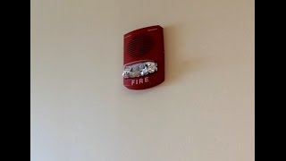 Fire Alarm Test 24 [upl. by Anielram]