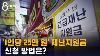 1인당 25만 원 재난지원금 6일부터 신청 · 지급  SBS [upl. by Leela420]