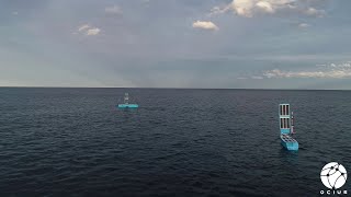 BlueBottle Unmanned Surface Vessels USVs [upl. by Malan]