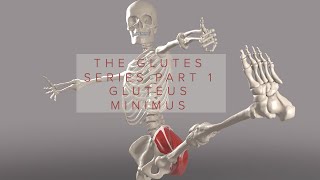 Glutes Series Part 1 Gluteus Minimus 3D Animation [upl. by Berns]