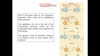 Tautomerization of bases [upl. by Line226]