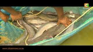 Smart Farm Fish Farming [upl. by Tarfe]