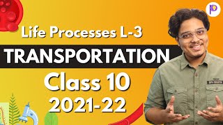 Transportation Class 10  Life Processes Lecture  3  Class 10 202122 [upl. by Aleedis]