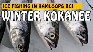 SO MANY BITES ICE FISHING FOR KOKANEE IN KAMLOOPS BC  Fishing with Rod [upl. by Ellertal]