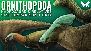 ORNITHOPODA Hadrosaurs and relatives Dinosaur size comparison Paleoart [upl. by Malinin]