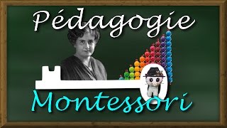 Pédagogie MONTESSORI [upl. by Halimak]