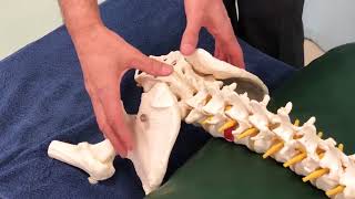 Sacroiliac Joint Assessment Protocol [upl. by Anipsed]