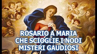 Rosario a Maria che scioglie i nodi  Misteri Gaudiosi [upl. by Enirehtac]