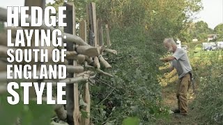 Hedge Laying South of England Style [upl. by Qahsi]