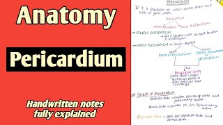 Pericardium  Anatomy  By Namita Ussara [upl. by Wester]