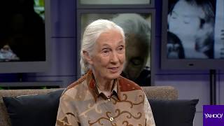 Jane Goodall on how Bigfoot might be real [upl. by Latsyek]