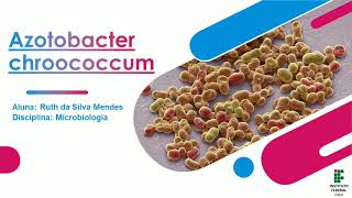 Azotobacter chroococcum [upl. by Rapsag272]