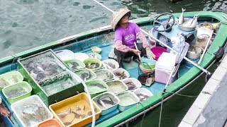 Live Fish Market on Boats Sai Kung Hong Kong [upl. by Elleoj280]