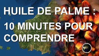 HUILE DE PALME  10 MINUTES POUR COMPRENDRE [upl. by Ahsienet]