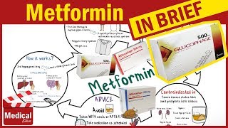 The Side Effects Of Metformin amp How To Avoid Them – Dr Berg [upl. by Aneryc]