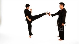 How to Do a Roundhouse Kick  Taekwondo Training [upl. by Natalie]