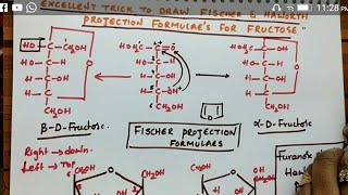 Fischer amp Haworth projection formulas for Fructose Biomolecules class 12 chemistry [upl. by Norramic]