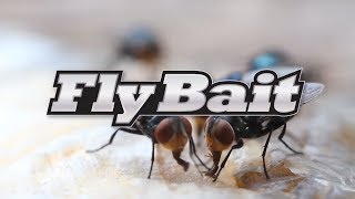 How to Use Gordons® Fly Bait [upl. by Linea]