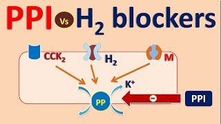 Proton pump inhibitors PPI vs H2 blockers [upl. by Yrred]