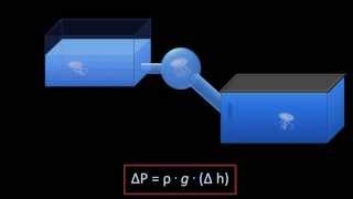 Hydrostatic Pressure Fluid Mechanics  Lesson 3 [upl. by Rech711]