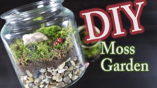 DIY Moss Terrarium How To Make A Moss Garden [upl. by Nodnarbal]