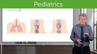 Introduction to Pediatric Chest Radiography [upl. by Euqram487]