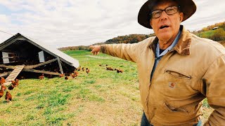 Tour Joel Salatin’s Ultimate Mobile Farm Structures [upl. by Glad331]