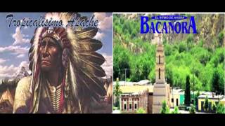 Tropicalisimo Apache y Grupo Bacanora  Exitos [upl. by Janice642]