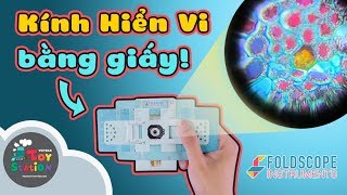 Không ngờ Kính Hiển Vi bằng giấy Foldscope lại có thể nhìn được thứ này ToyStation 397 [upl. by Gneh909]