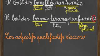 Les adjectifs qualificatifs [upl. by Lankton606]