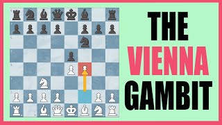 Learn THE VIENNA GAMBIT [upl. by Cralg]