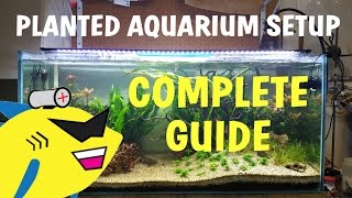 PLANTED AQUARIUM SETUP Complete Guide To A Soil Planted Tank [upl. by Tosch80]